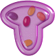 فونت زيبا ساز